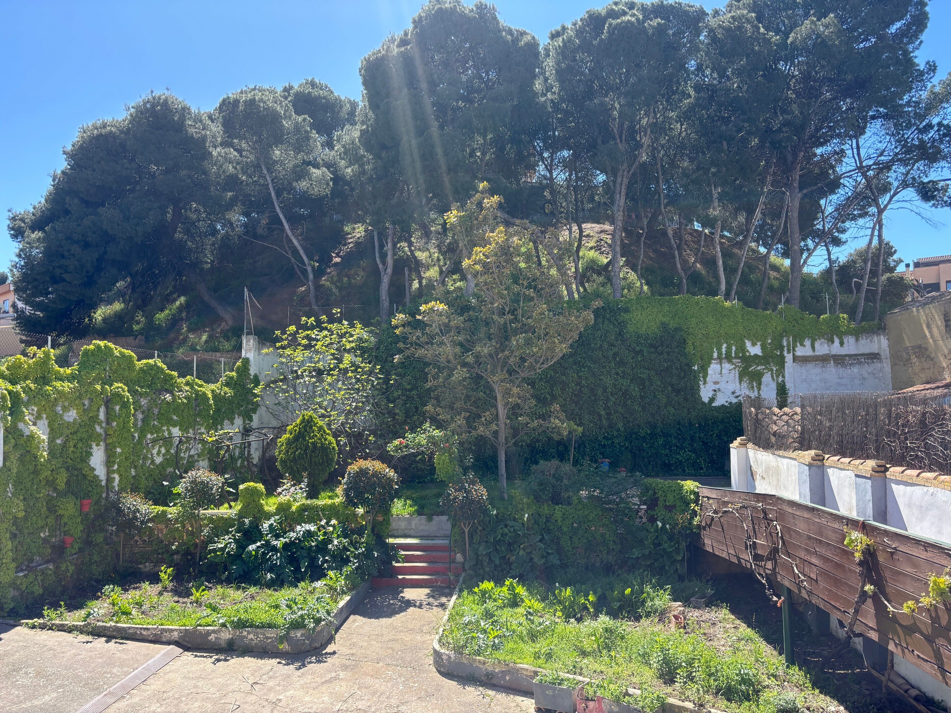 Parco della struttura