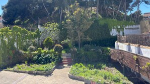 Ein Garten mit verschiedenen Pflanzen und Bäumen, einem Betonweg und einem Holzzaun.