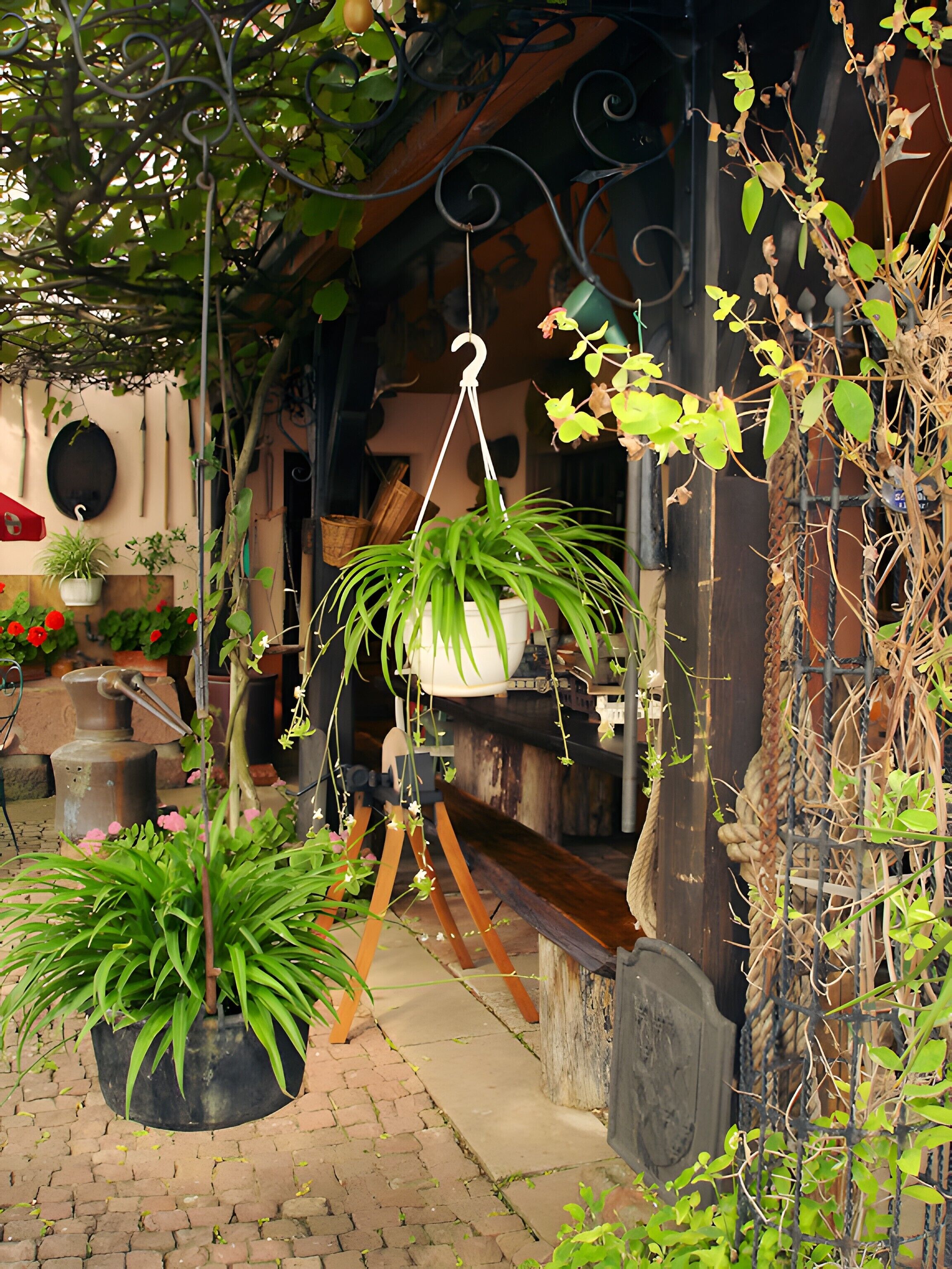 Enceinte de l’hébergement