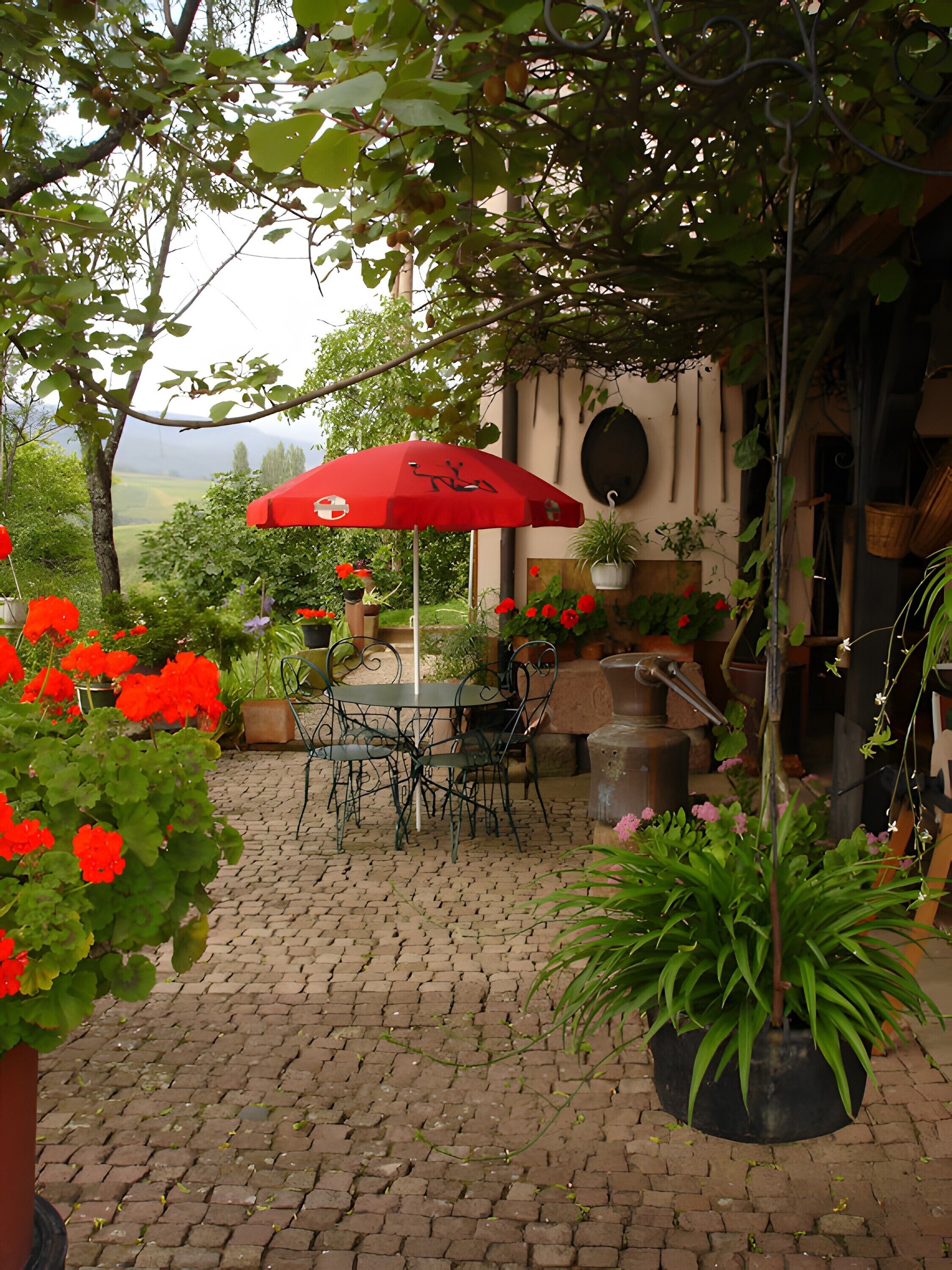 Restauration en plein air