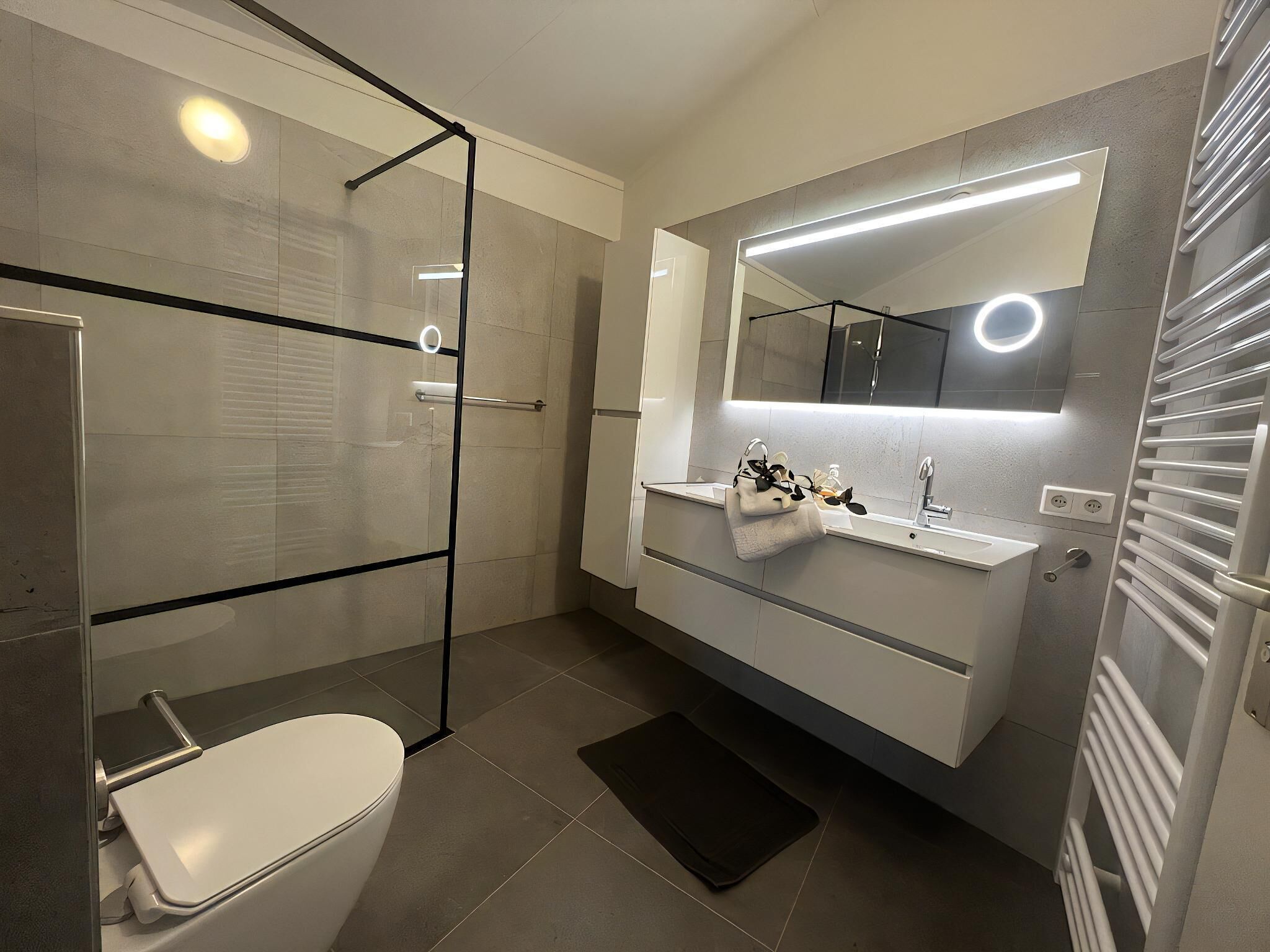 A modern bathroom with a glass shower enclosure, a white toilet, a vanity with a mirror, and a towel rack.