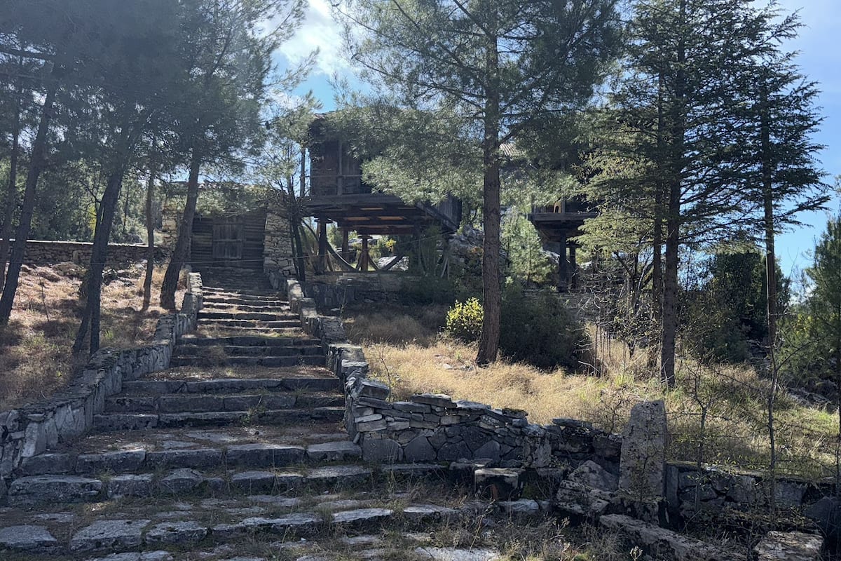 A stone staircase leading to a wooden structure surrounded by trees.