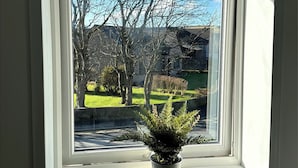 A window with a view of a grassy area, trees, and a building in the background.