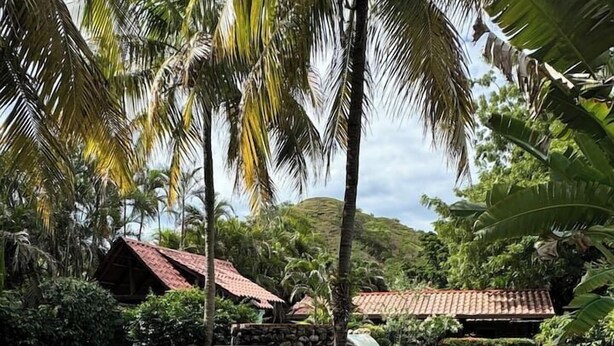 A swimming pool with a curved design, surrounded by a brick deck and lush greenery, including palm trees and a stone wall. - Private 2 Bedroom Home | Pool | Near Beach (Coco)