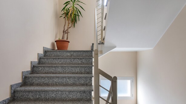 Una escalera de piedra con maceta y una ventana.