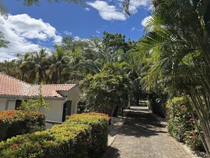 Property grounds - Jungle Studio / Shared Pool / 2 Min drive to Beach & Downtown Coco (Coco)