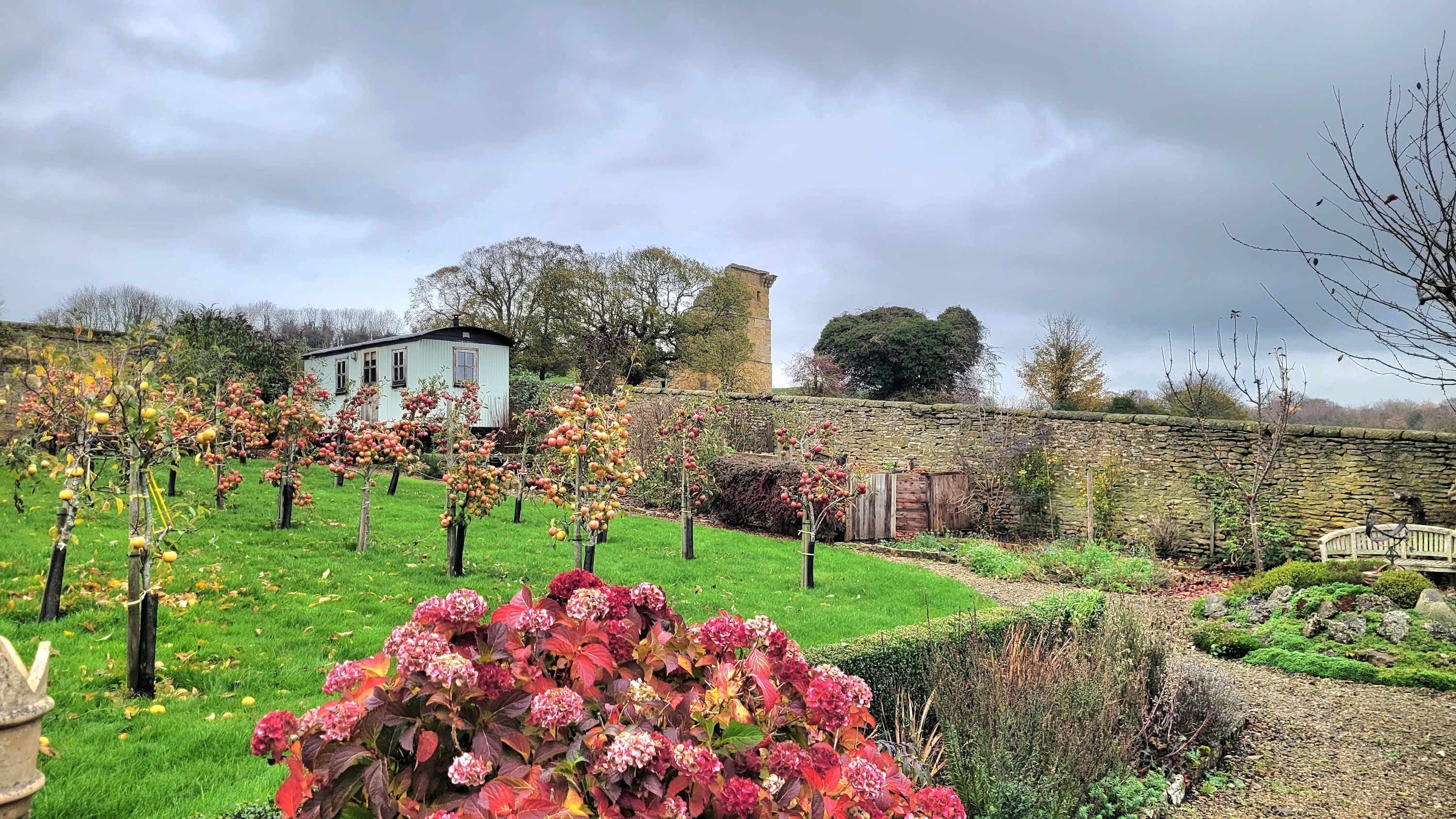 スタジオ | 1 室のベッドルーム