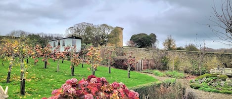 Studio | 1 Schlafzimmer