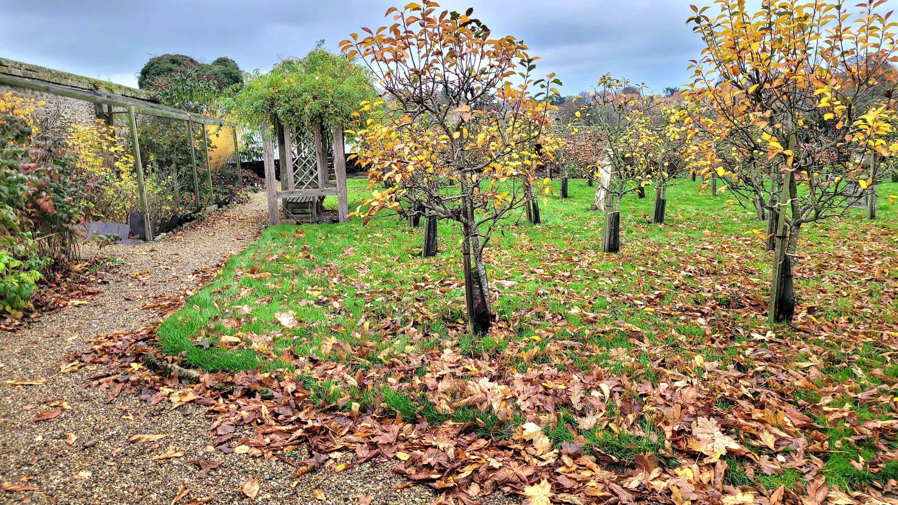 A garden with trees, a gravel path, and a wooden fence.