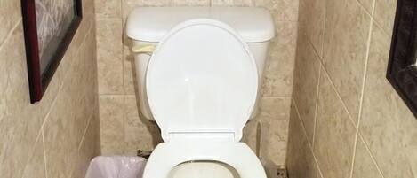 Un baño pequeño con un inodoro blanco, un cesto de basura y un cuadro en la pared.