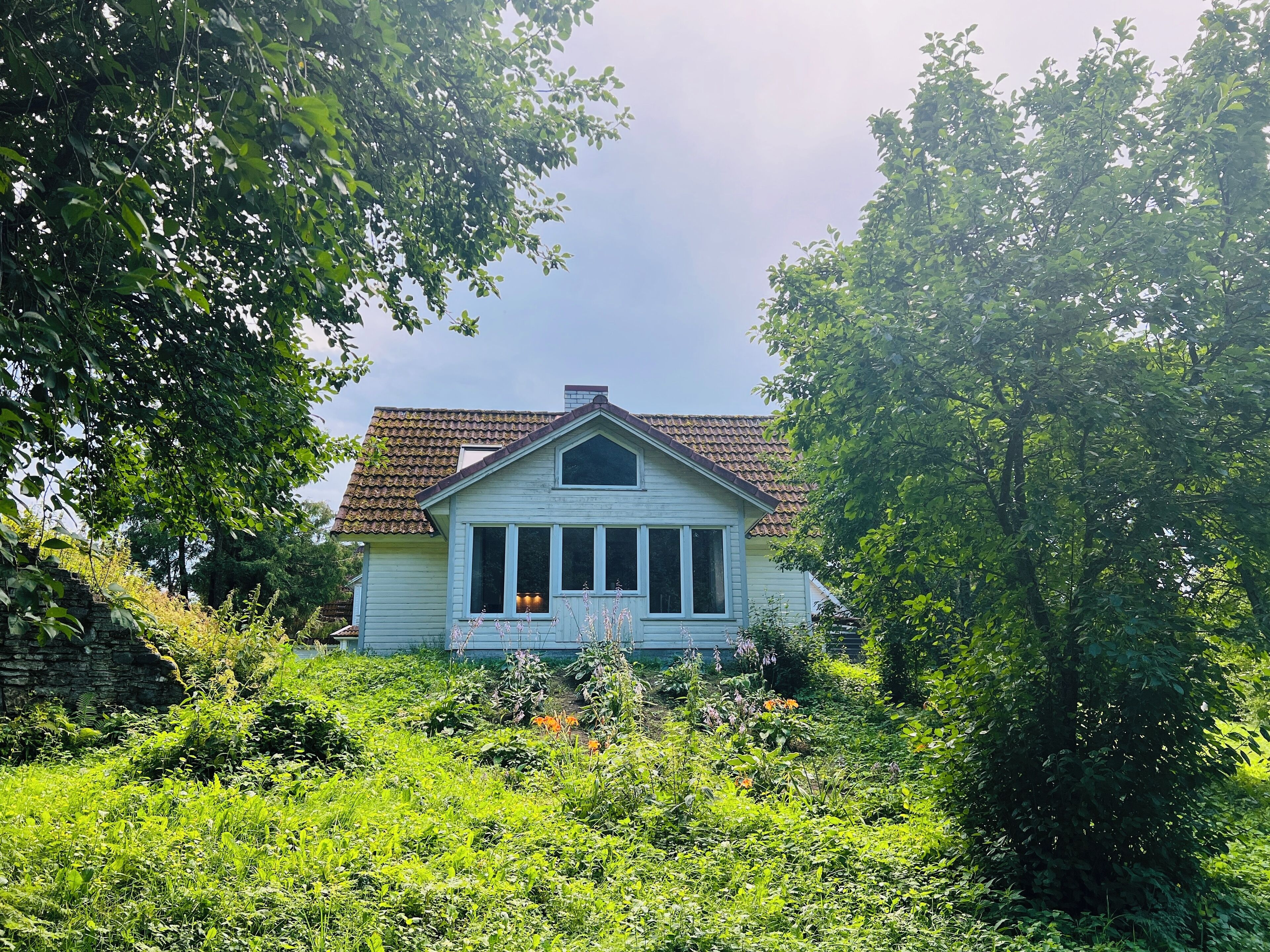 A house surrounded by dense greenery.