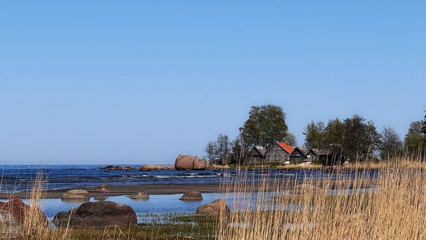 A coastal scene with a wooden house, clear blue sky, and calm sea.
