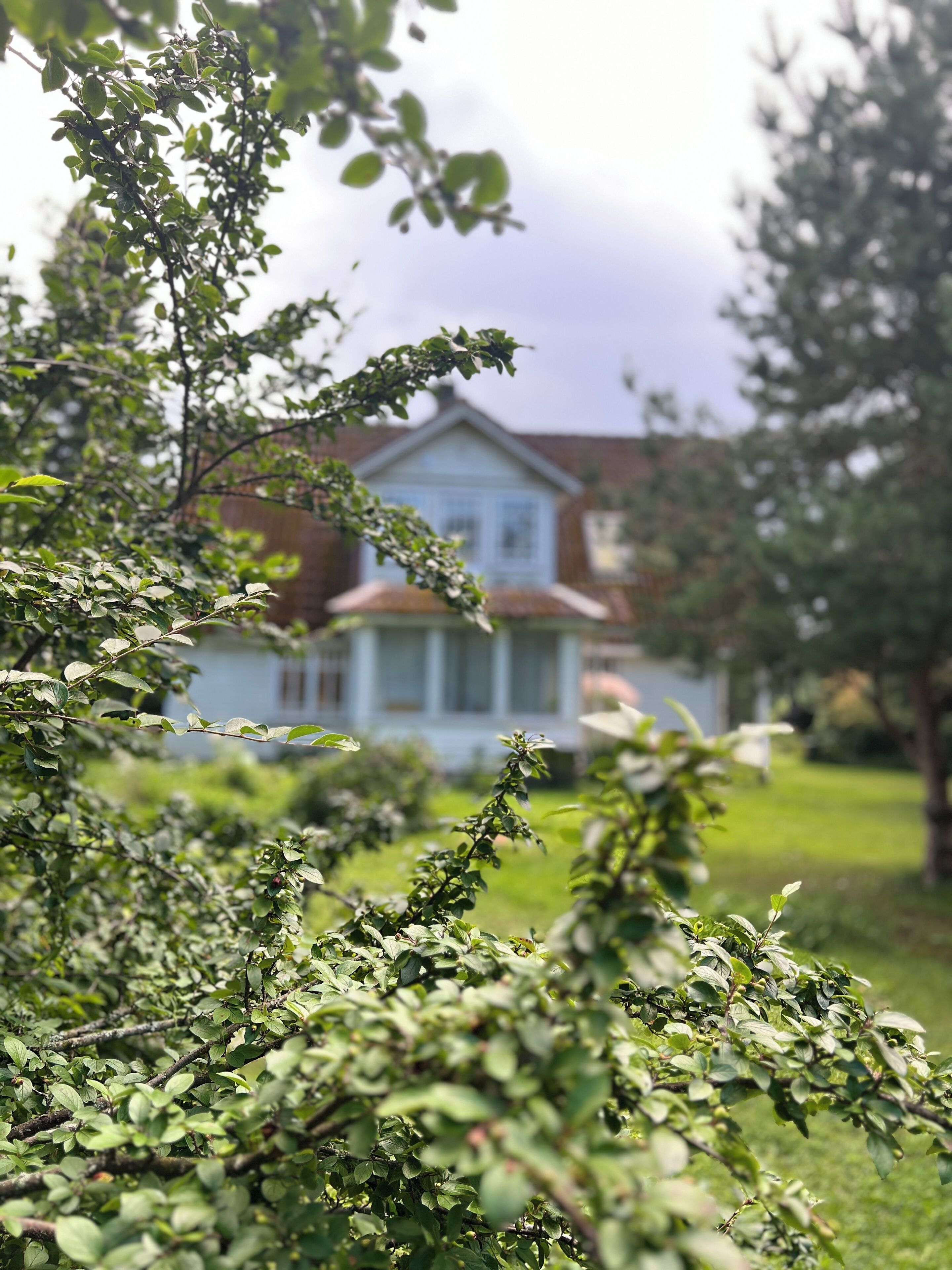 Uma casa com fachada branca e telhado vermelho, cercada por vegetação.