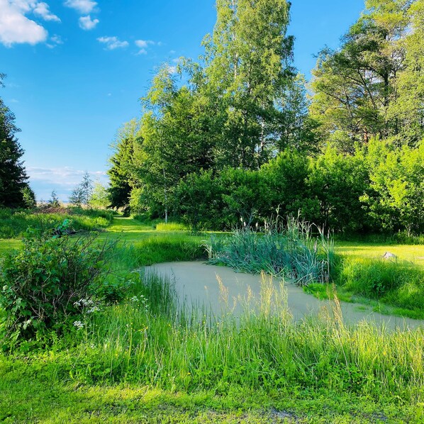 A serene park with a pond, lush greenery, and tall trees.