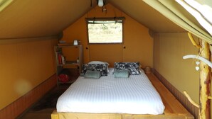 A cozy, single-bed room with a sloped ceiling, a small window, a wooden shelf with books, and a decorative plant.