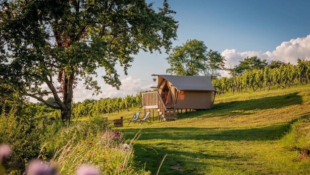 A rustic cabin with a sloped roof, surrounded by lush greenery and a vineyard in the background.