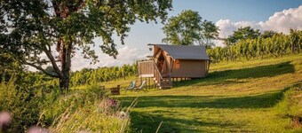Luxury Lodge Tent in the vineyard
