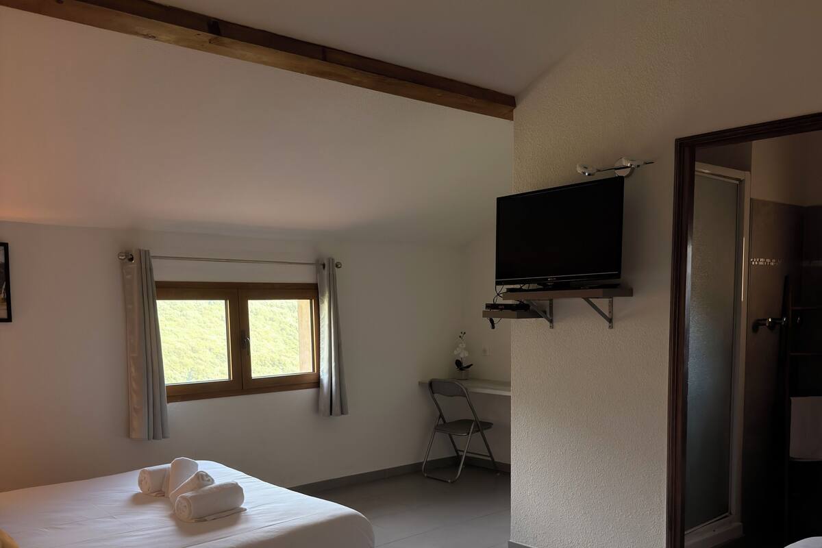 Una habitación de hotel con dos camas, televisión, ventana y zona de ducha.