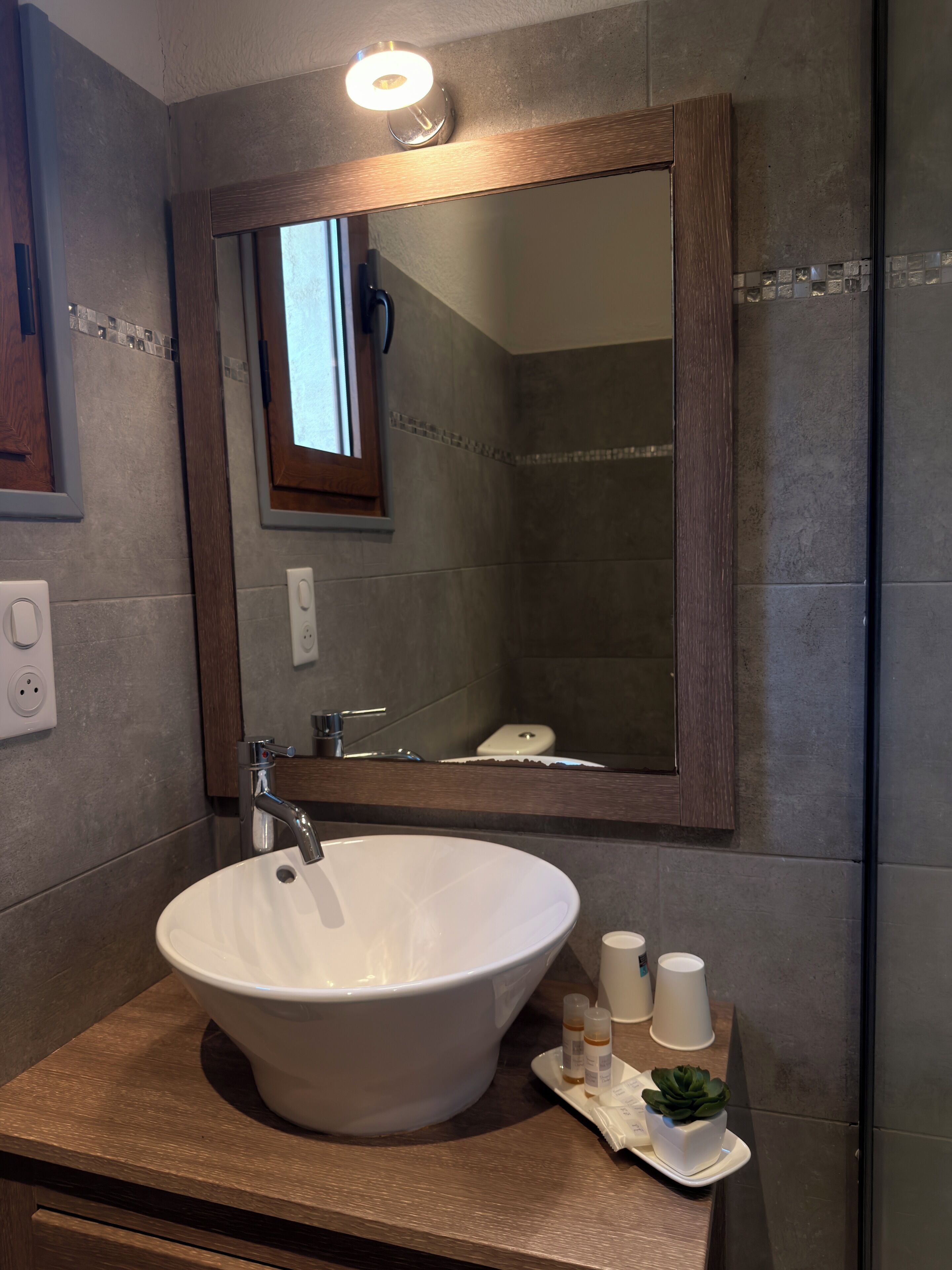 A bathroom with a large white sink, a mirror, and a small potted plant.