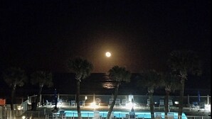 Una vista notturna di una zona piscina con la luna nel cielo, palme e poltrone da relax.