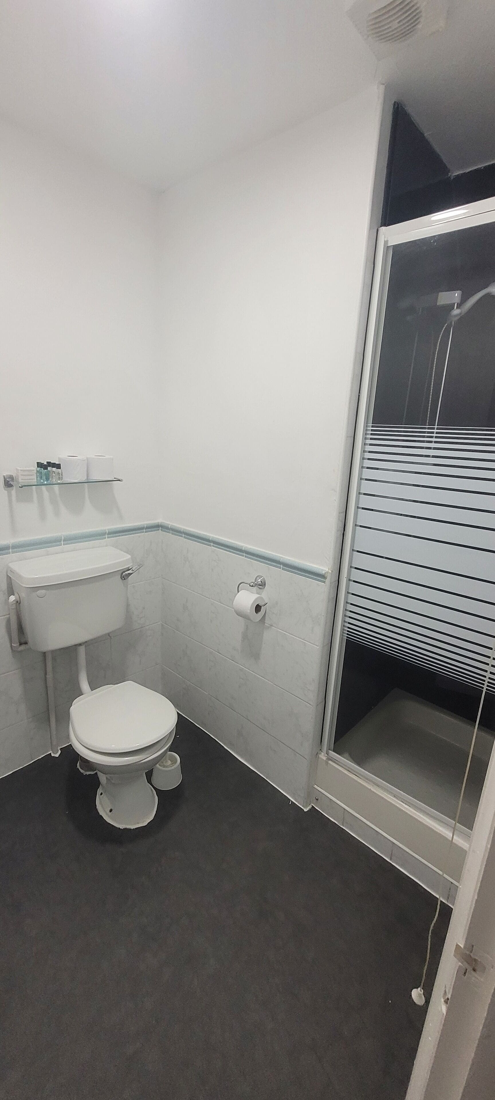 Une petite salle de bain avec des toilettes, un lavabo et une douche.