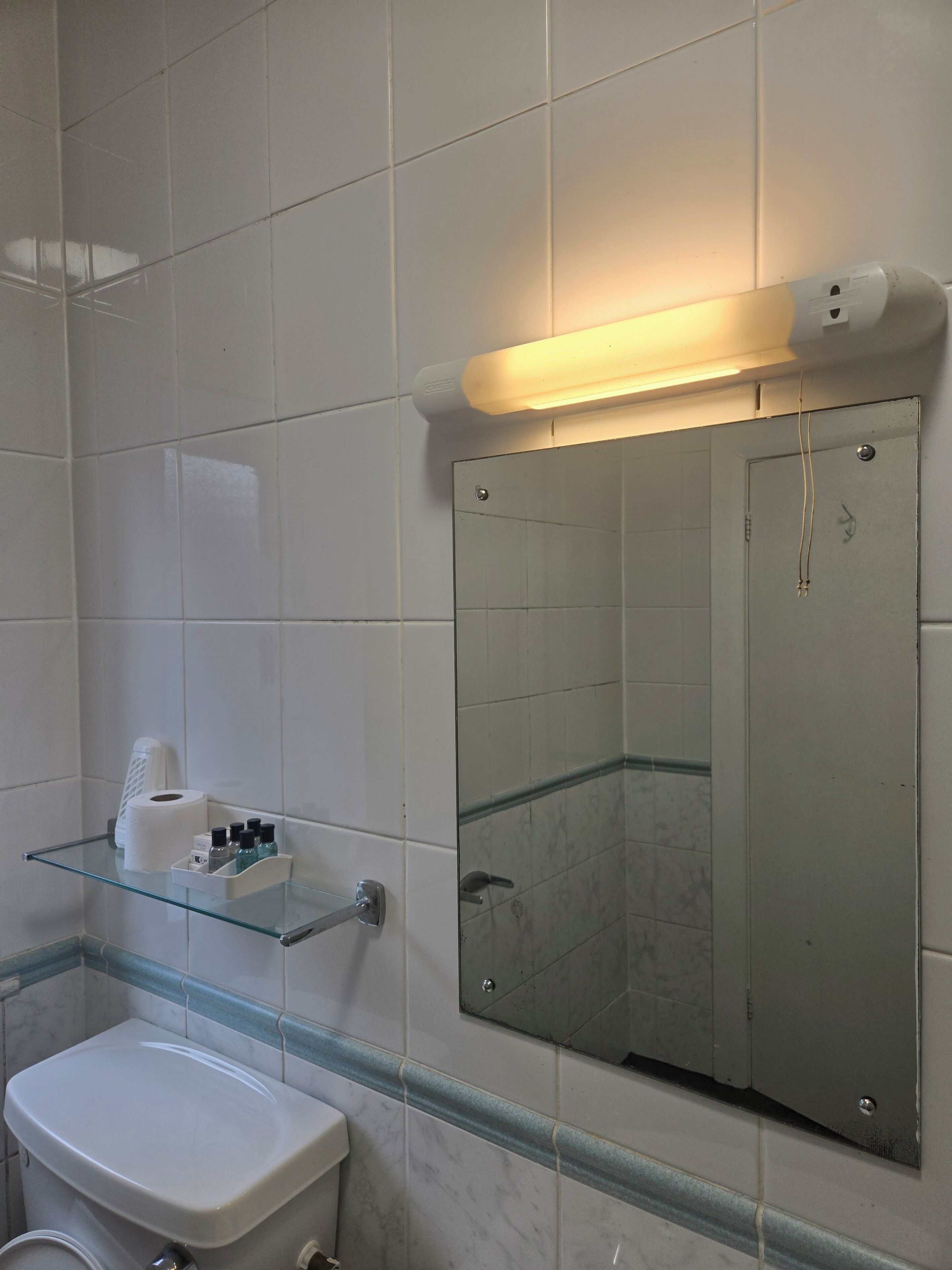A bathroom with a toilet, a glass shelf with toiletries, a mirror, and a light fixture.