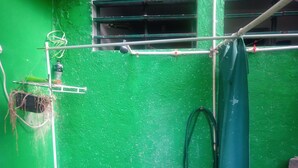 A green wall with a window, a ladder, and some pipes. - Divers Hostel Cozumel (Cozumel)