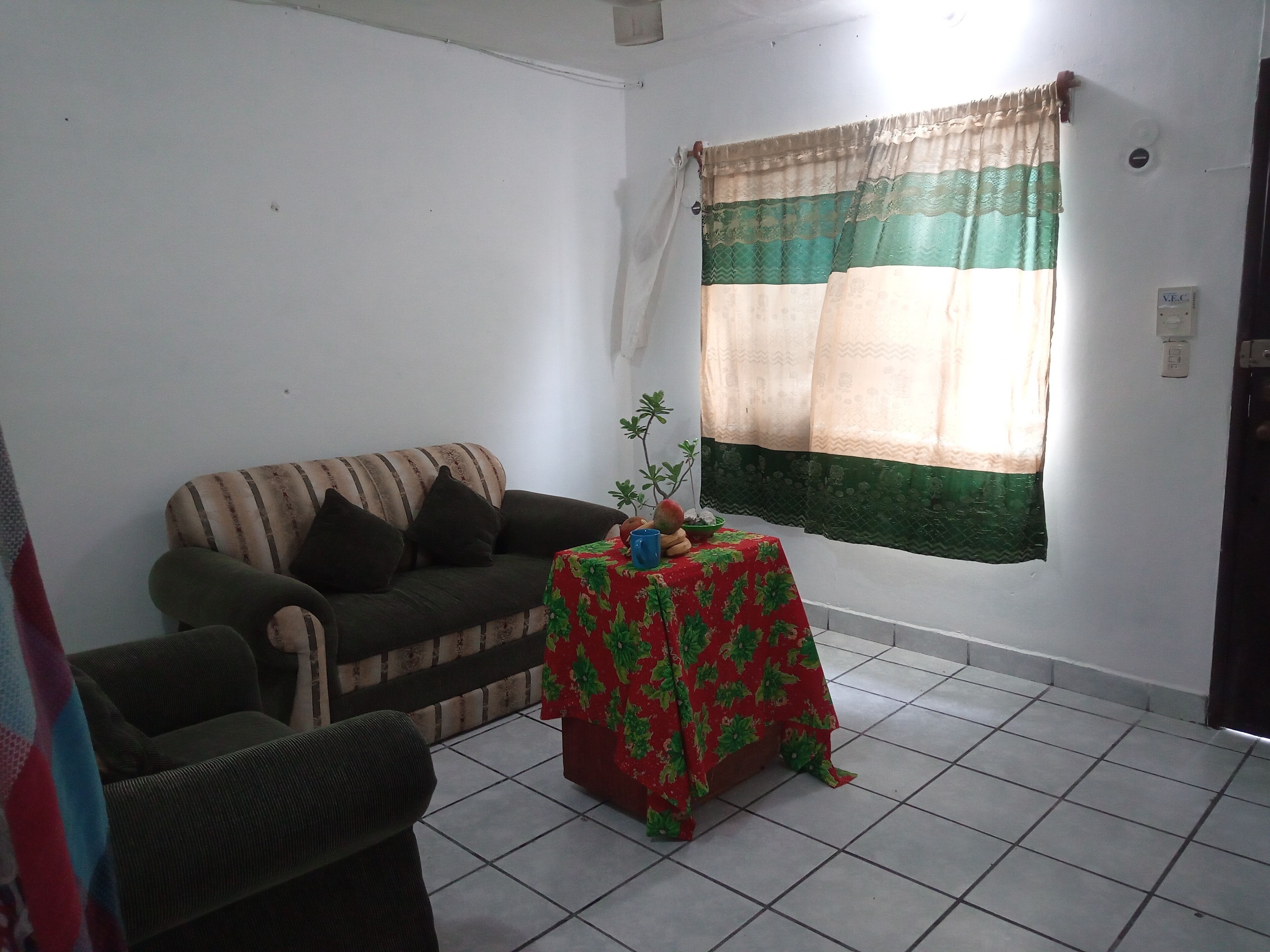 Divers Hostel Cozumel - 科蘇梅爾島
