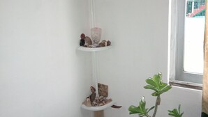 A corner of a room with a white wall, a window, and a potted plant. - Divers Hostel Cozumel (Cozumel)