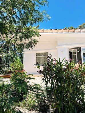 Detalle exterior