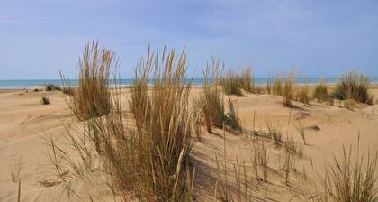 Guest House B&B Villa Ziella