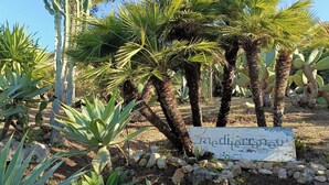 A sign with the text "Medina del Mar" surrounded by various cacti and palm trees. - Guest House B&B Villa Ziella (Pachino)