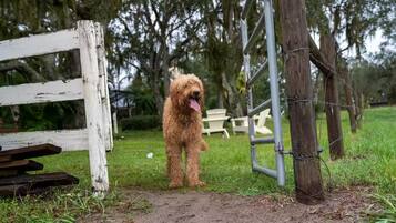 Terrein van de accommodatie