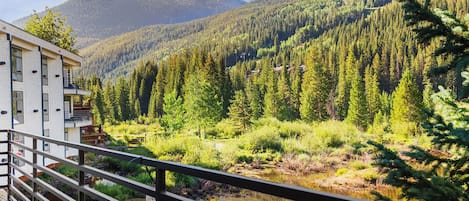 A view from a balcony overlooking a forested valley with a river, a mountain in the background, and a building with a balcony.