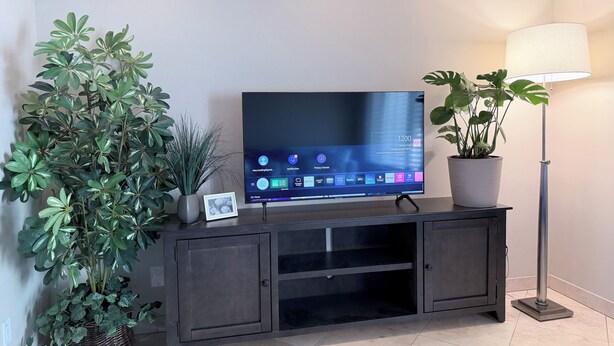 Un téléviseur à écran plat est posé sur un meuble en bois foncé. À gauche, on aperçoit une grande plante en pot, et à droite, un lampadaire.