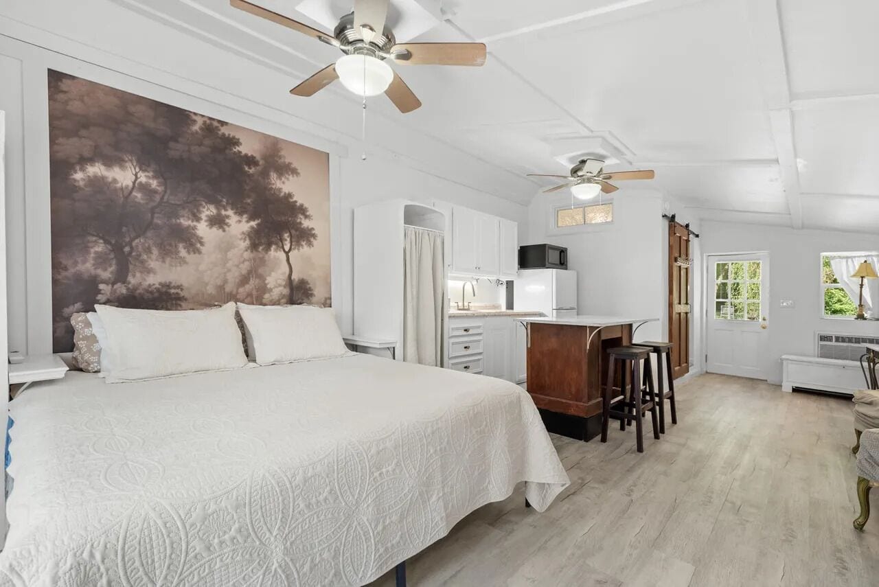 Apartment, 1 King Bed, Non Smoking, Kitchenette | Desk, laptop workspace, free WiFi