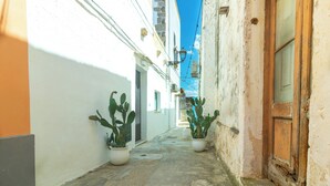 Un callejón estrecho con paredes blancas y una puerta de madera a la derecha. Hay dos cactus en macetas a la izquierda.