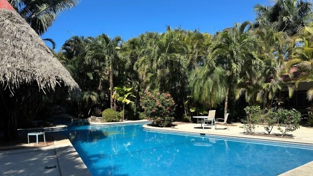 Una piscina cristallina circondata da lussureggiante vegetazione e palme.