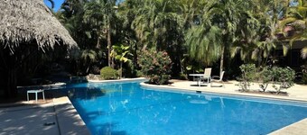 Cozy 2-bedroom condo in Nosara with AC. 506 Tennis Center!