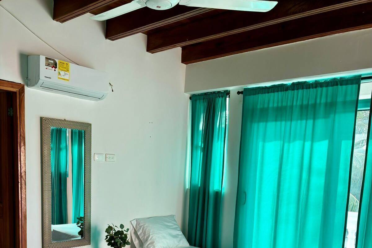 A single bed with a white mattress and a wooden frame, a small bedside table with a plant, a ceiling fan, and a window with teal curtains.