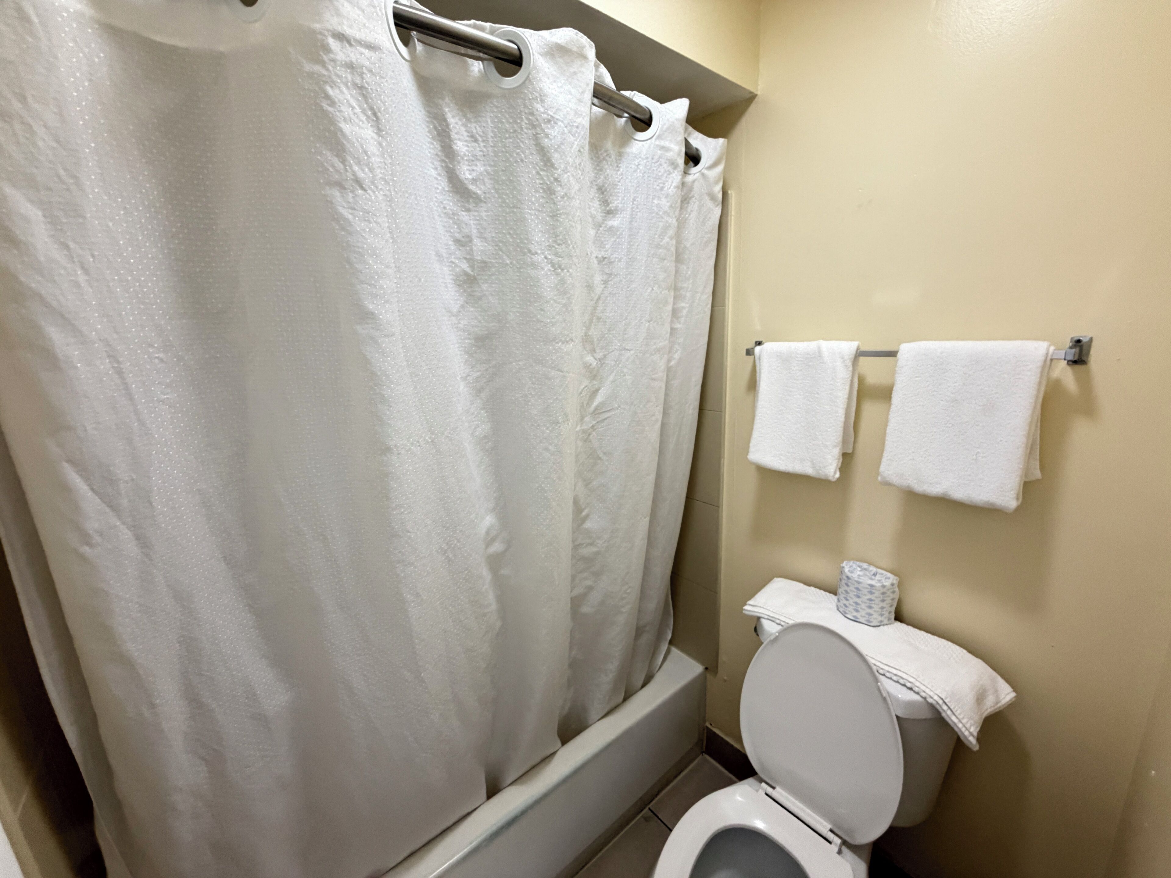 Bathtub, towels, soap, shampoo