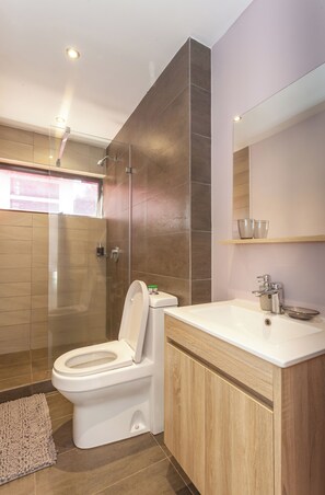 Regadera, secadora de cabello, toallas, jabón 