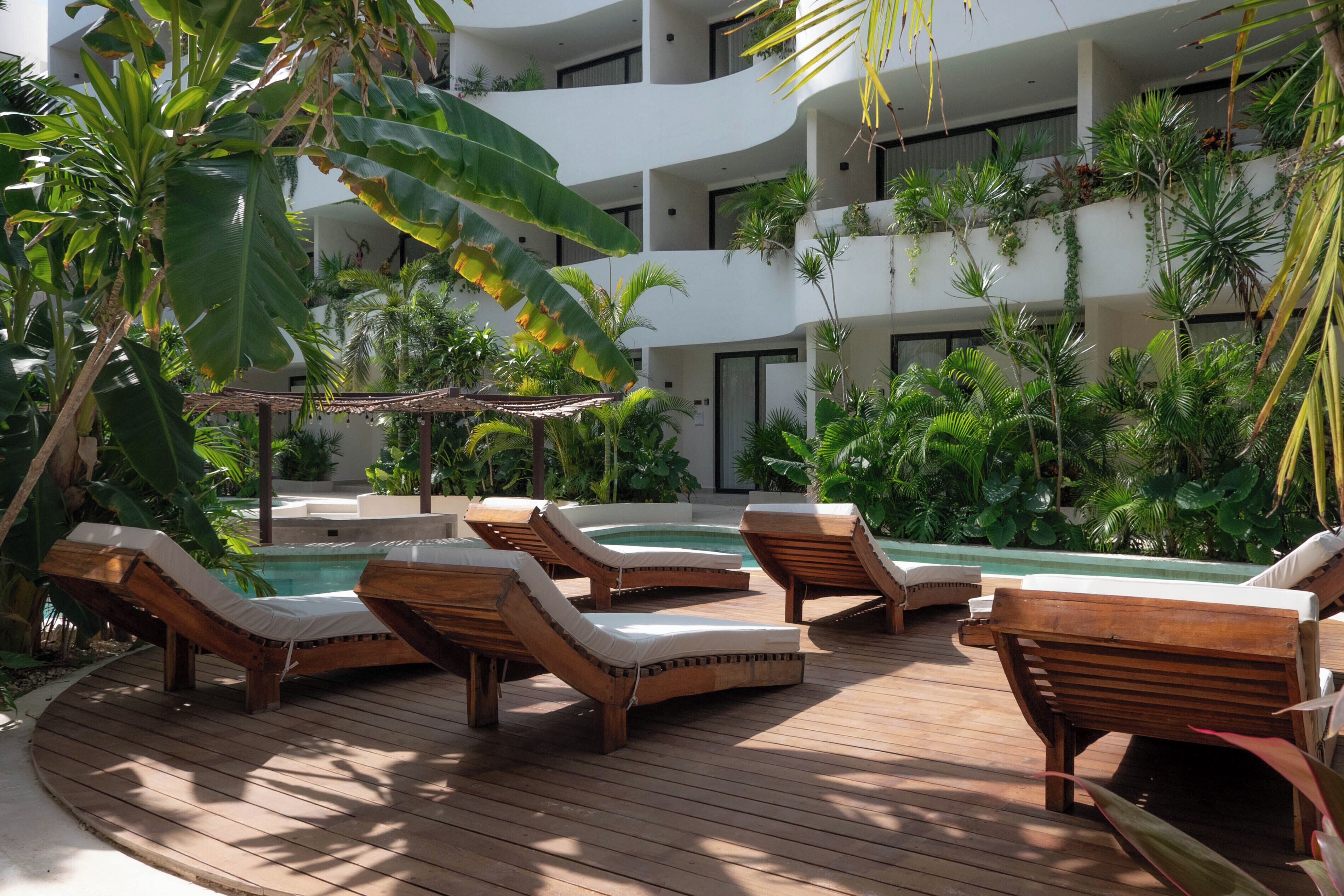 Terrain de l’hébergement 