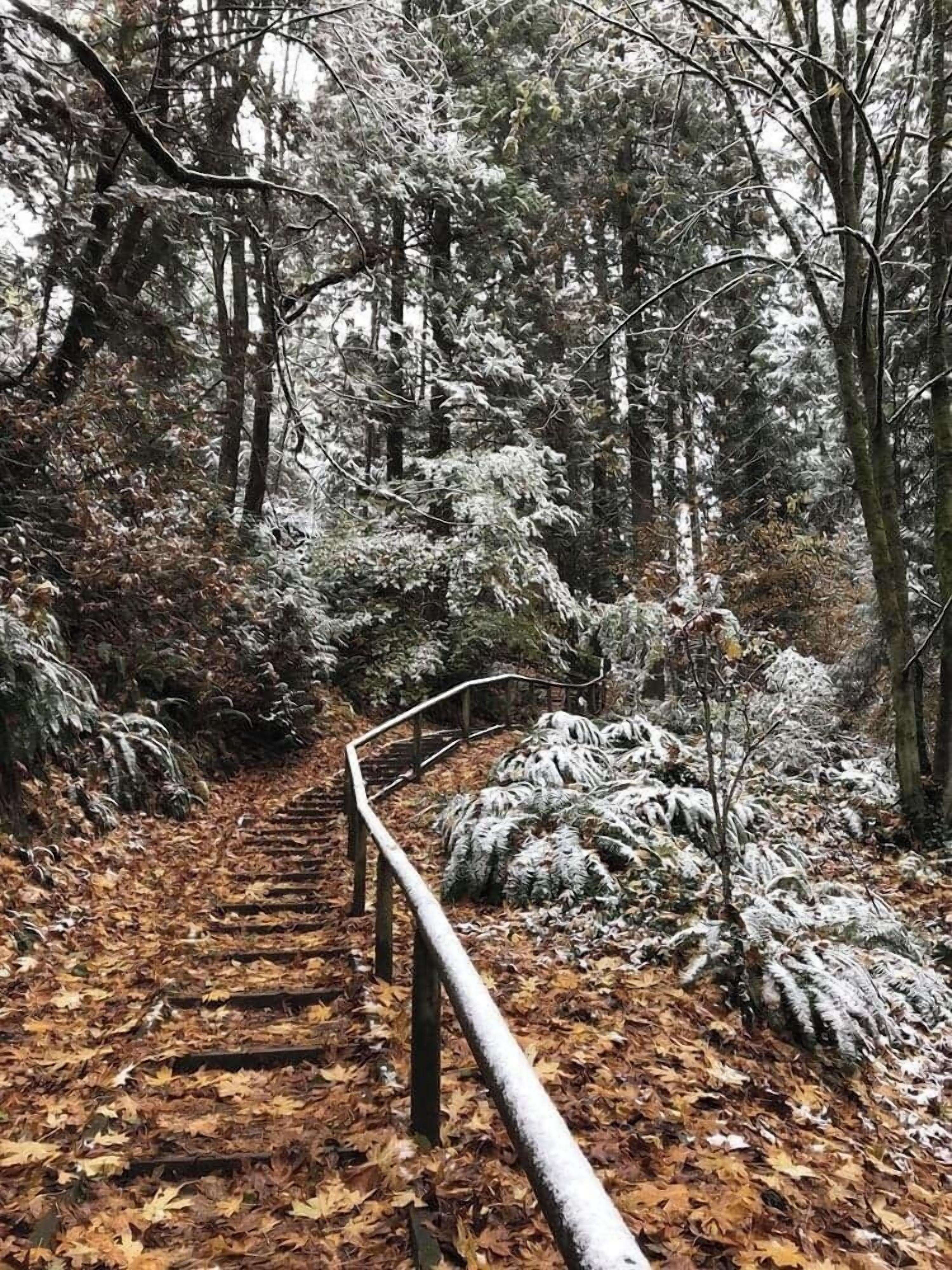 住宿场地