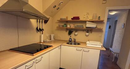 Appartement simple en Presqu'Ăźle