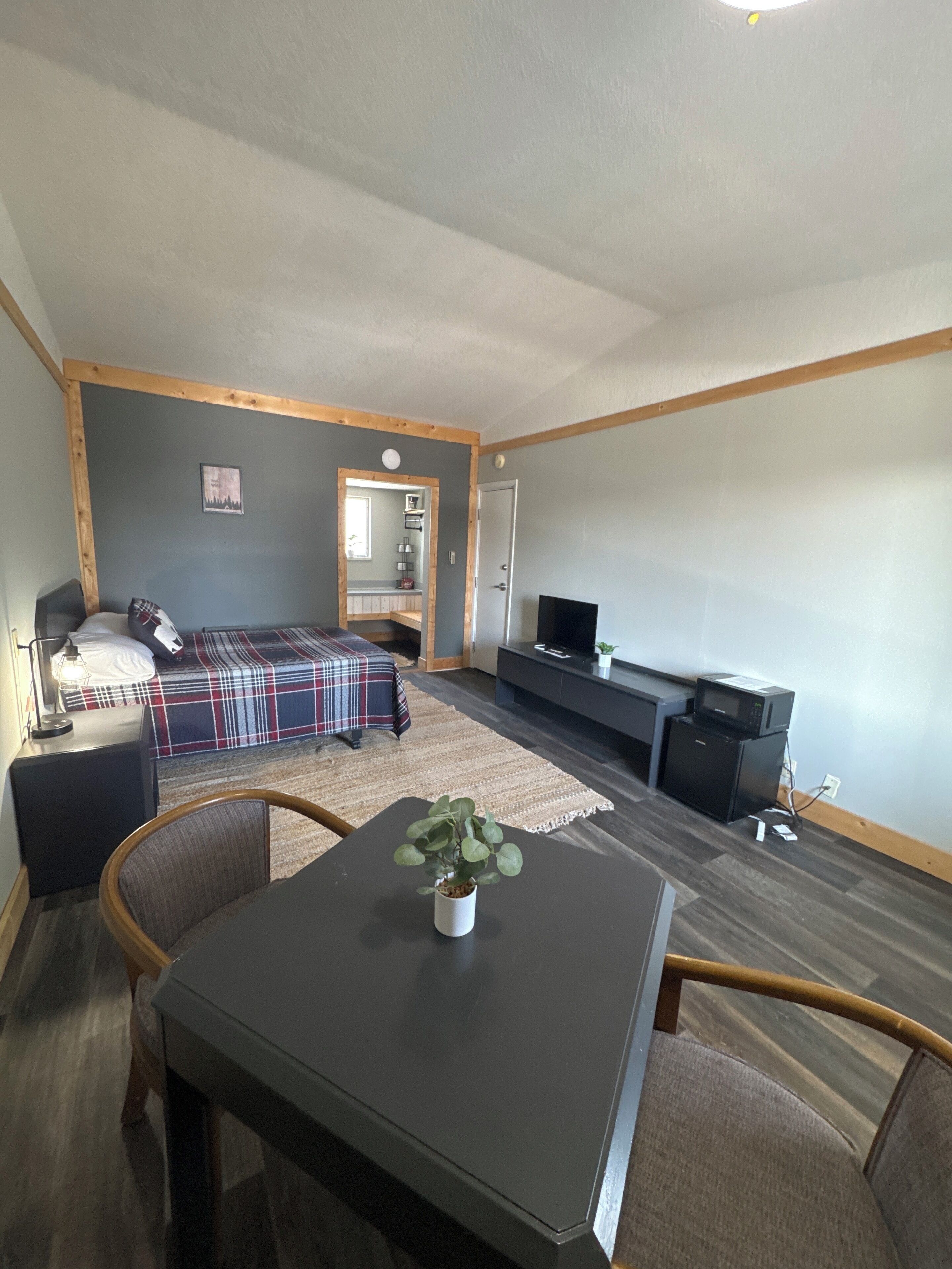 Una habitación moderna con una cama, televisión, mesa de comedor con sillas y una planta pequeña.