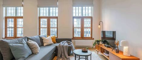 Fernseher, Arbeitsbereiche