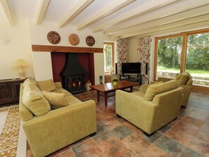 A living room with two sofas, a fireplace, a television, and a large window. - Bryn Isaf (Tregaron)