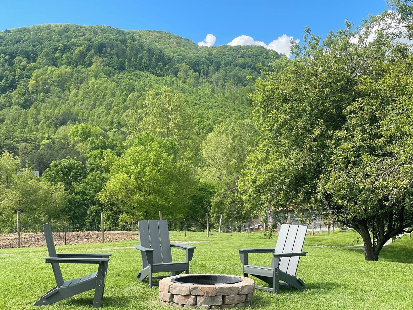Un espace extérieur verdoyant, aménagé avec des fauteuils Adirondack et un foyer en pierre, entouré d’une végétation luxuriante et dominé par une chaîne de montagnes.
