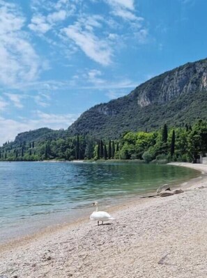 Beach - Jewel on Lake Garda in Garda with Lake View (Garda)